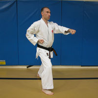 Rassam Taherzadeh Sensei